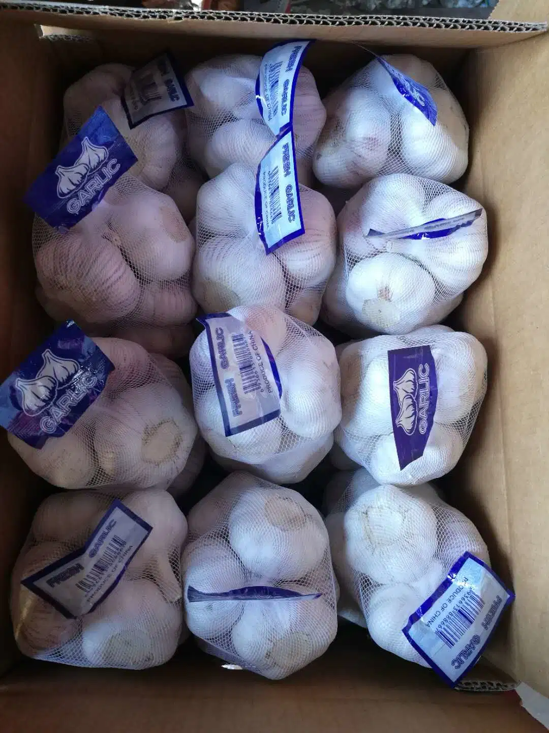 New Crop China White Garlic in Small Package