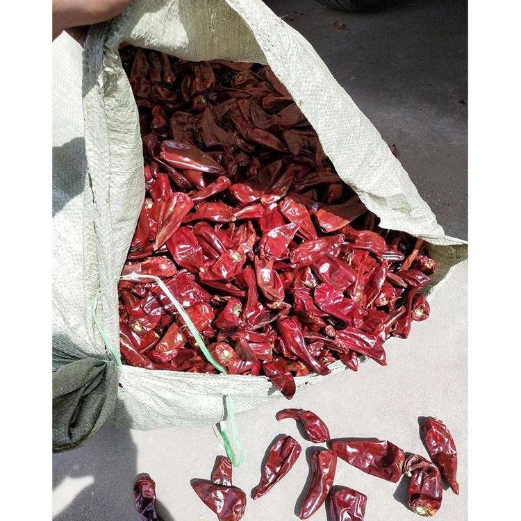 Top Quality Dehydrated Red Whole Chili