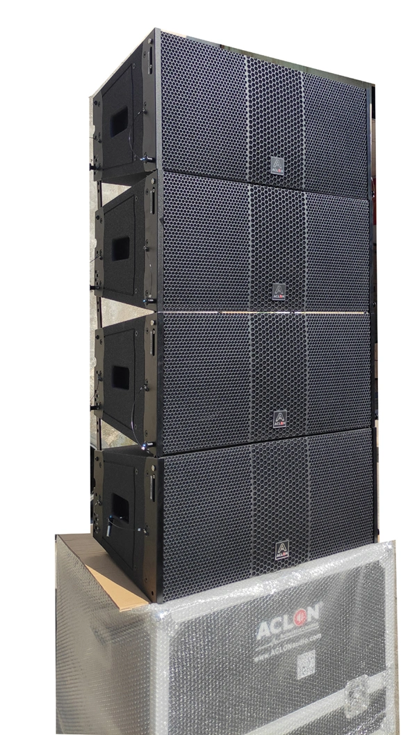 Aclon Dual 10inch Neodynium Contrachapado altavoz DSP Active Line Array (LAM210A)