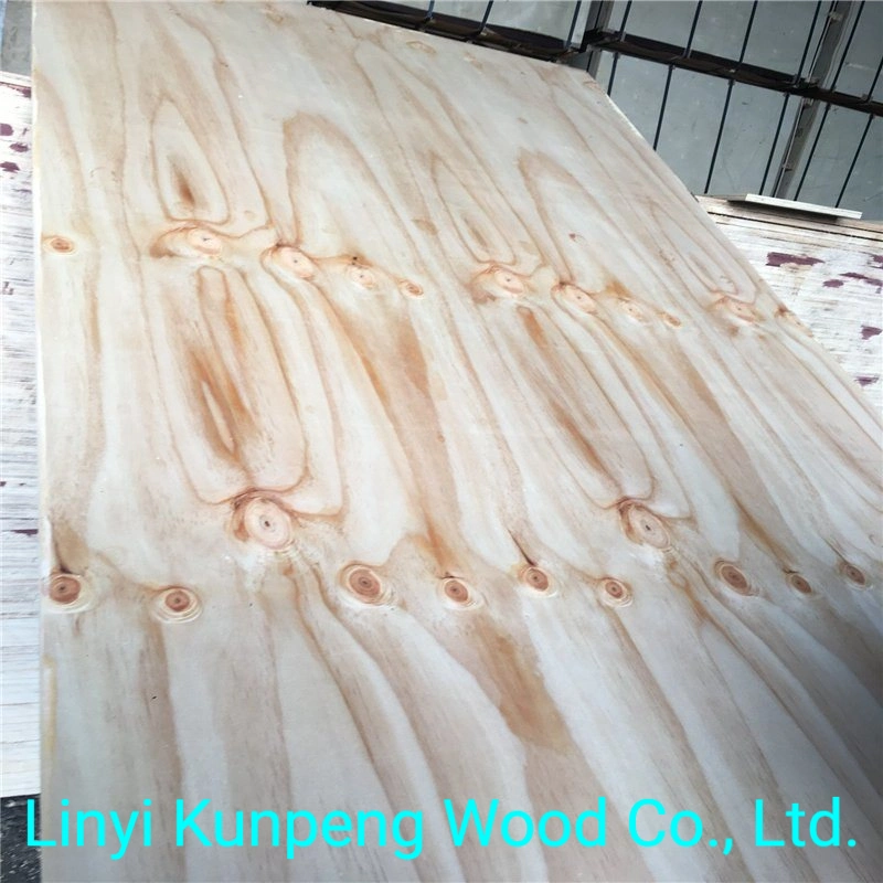 CD Grade Pine Plywood with Poplar Core