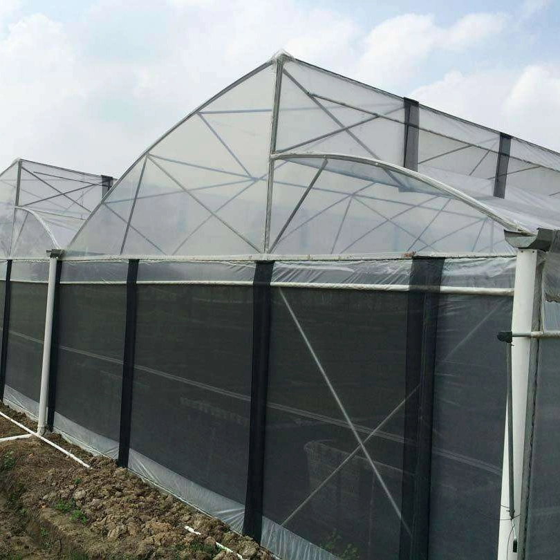 Plastic Film PE Multi Span Garden Tunnel Agriculture Greenhouse with Cooling System