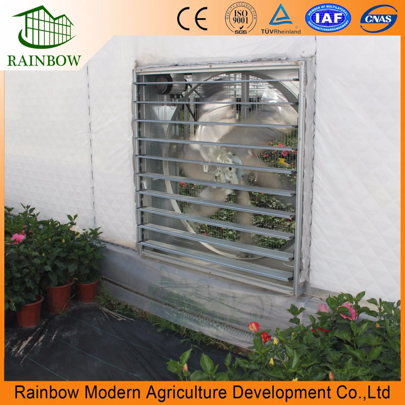 Cheap Arch Type Film Tomato Greenhouse for Tropical Region