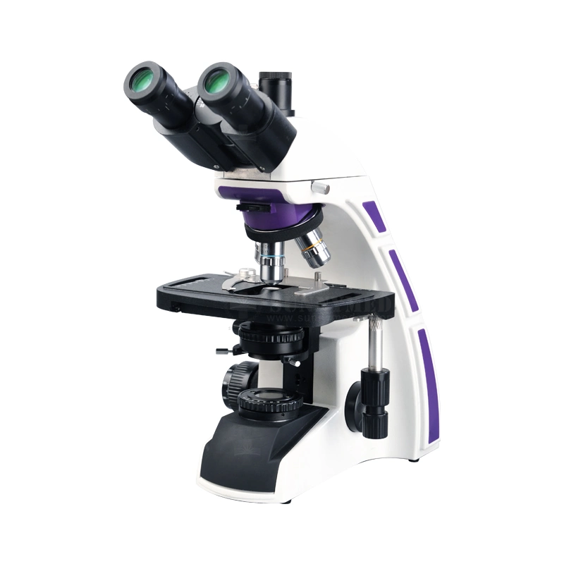 Sy-B129t Equipos Médicos microscopio óptico para laboratorios de ciencias