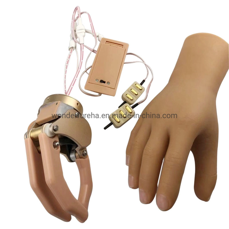 Membro Artificial Myoelectric Protéticas antebraço esquerdo Controle Myoelectric Prótese de mão mão protético