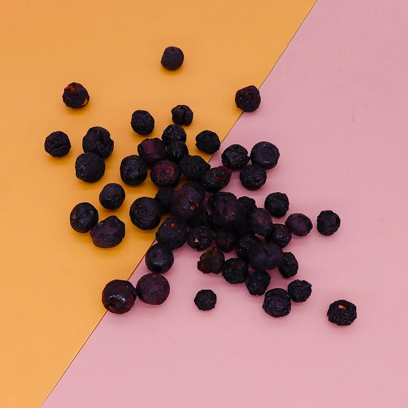 Ttn Freeze Dried Fruit Market Prices of Dried Blueberry Bulk