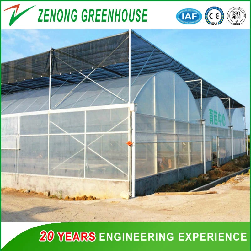 Modern Multispan Film Greenhouse for Vegetables/Flowers/Hydroponics for Sale