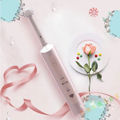 Intelligent Rotating Adult Electric Toothbrush Rechargeable for Teeth Whitening