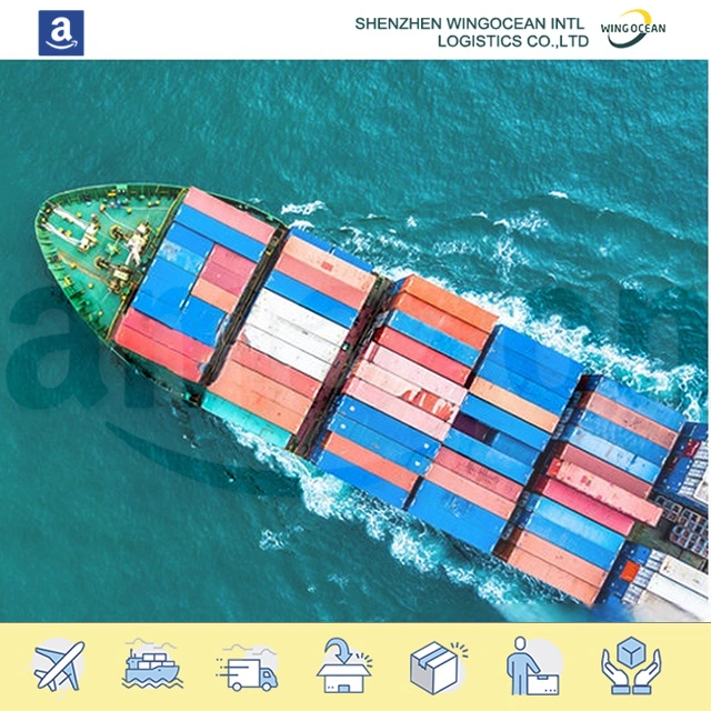 Sea Shipping Container Agent, From China to USA / Europe/ Africa/ Asia/ Australia/ Middle East/ South America