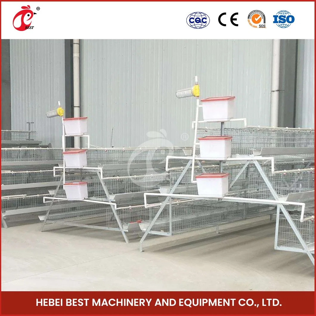 Bestchickencage a Type Layer Cage China Chickens Poultry Farm Layer Cages Factory OEM Custom Chicken Brooding Layer Cage Configuration Chicken House Equipment