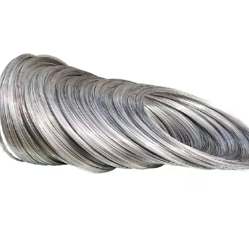 Flexible 304 316 1mm 2mm 3mm Stainless Steel Soft Wire