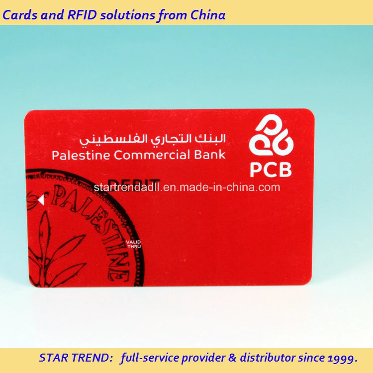 Cr80 Size Printed PVC Plastic Card for Business/Membership/Promotion/Gift/Loyalty