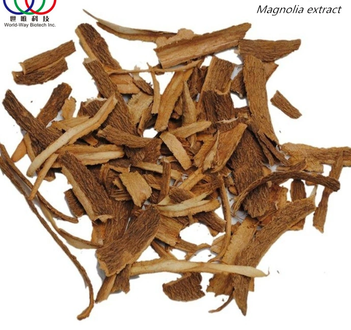 Hot Sale Healthy Food Top Factory Supply Quality Magnolia Officinalis Extract Powder