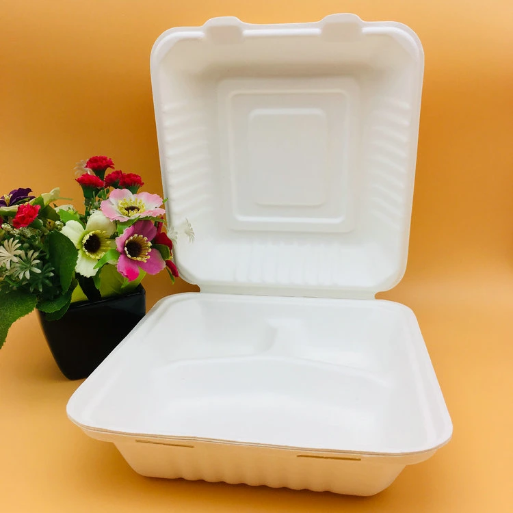 Wholesale/Supplier 3 Compostable Custom Logo Paper Bagasse Lunch Box