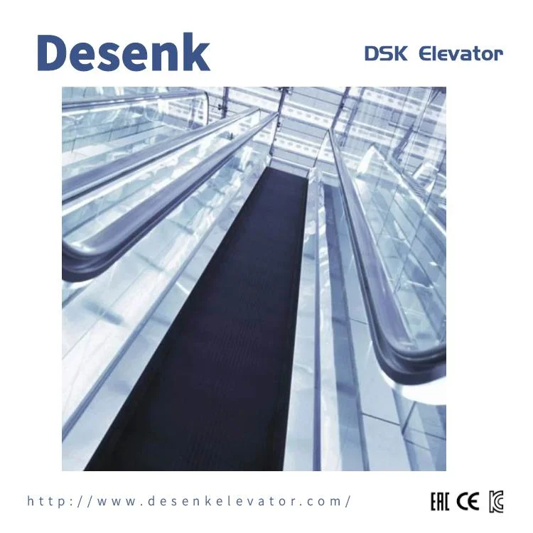 Desenk China Electric Escalator Outdoor Cost Escalators for Sale