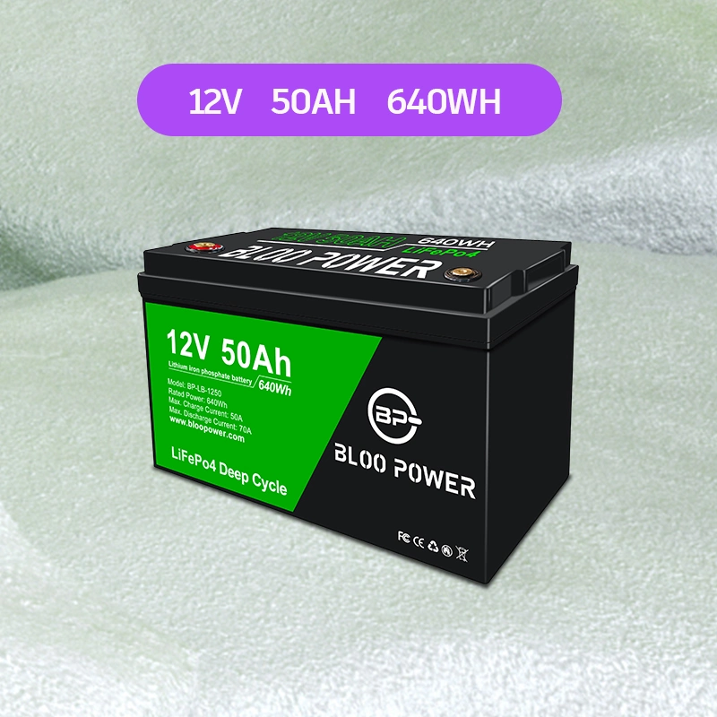 Bloo Power 12V 24V 36V 48V 50ah Sealed Rechargeable for Electric Car Sightseeing Aerial Work Vehicle Lithium Battery