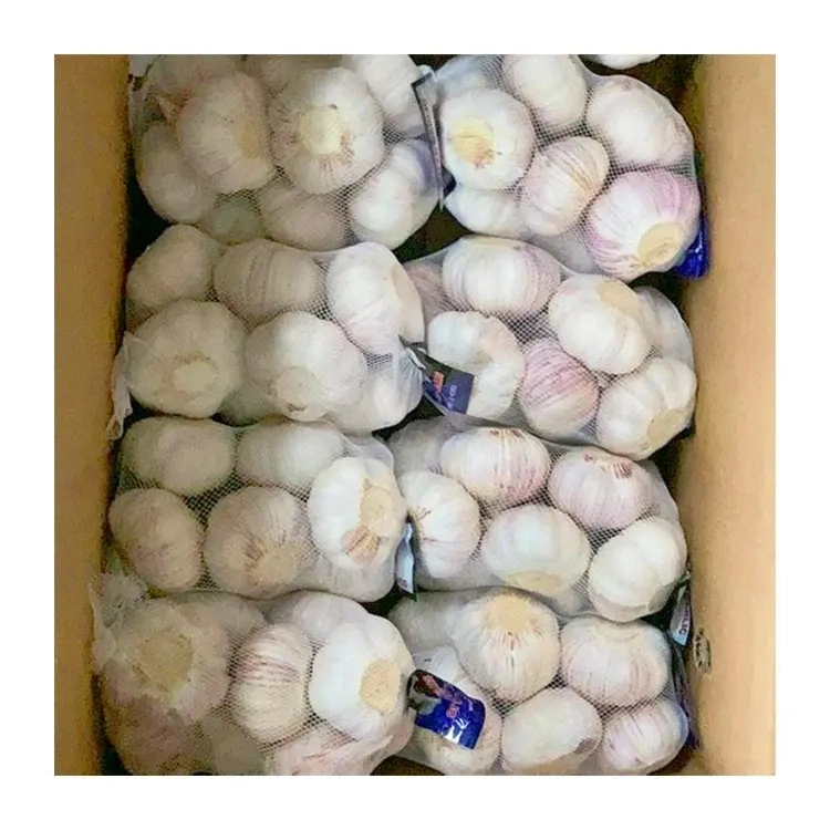 Fresh Garlic High quality/High cost performance 500g Net Bag Chinese Red Garlic Wholesale/Supplier Normal White Garlic