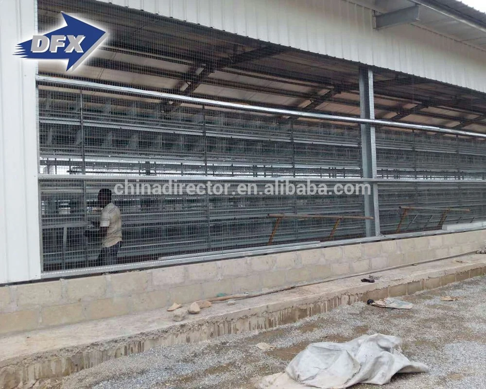 El bastidor de acero de Qingdao granja avícola el diseño de la casa derramó para pollos de la capa de Filipinas
