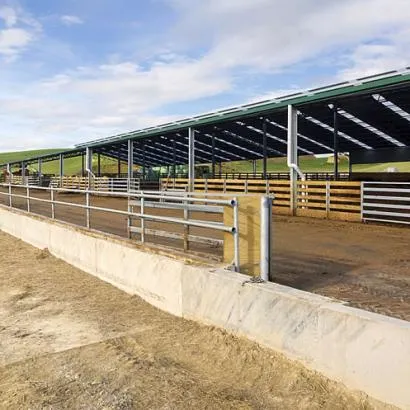 Steel Structure Cows Farm Building Prefabricated Steel Structure Cows Farm