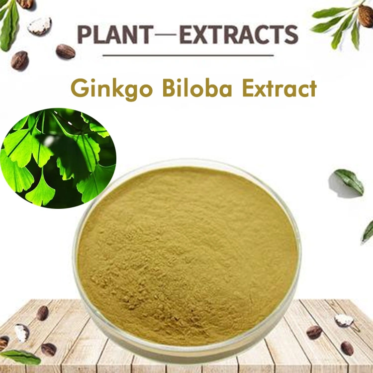 Фабричная горячая продажа оптовой оптовой цены натуральный Ginkgo biloba Extract Powder 24% флавлоидный порошок