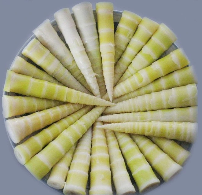 Canned Food Canned Bamboo Shoot Slices Bamboo Halves in Brine Whole/ Halves/Slice