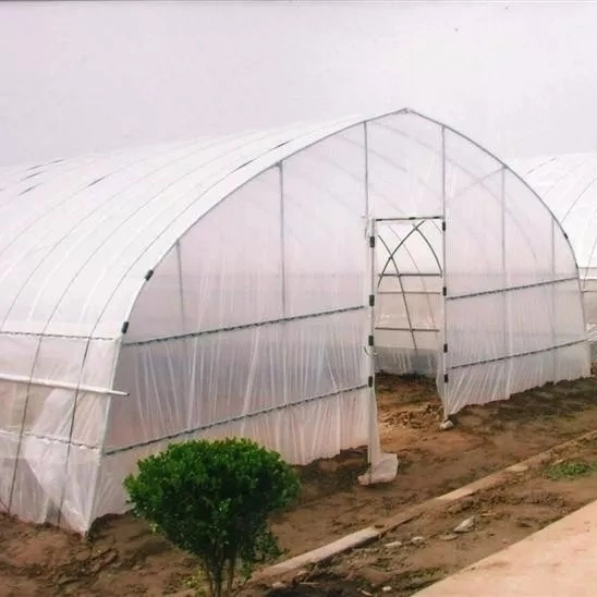 Steel Structure Platform Fabricated House Xinhe Garden Products Tunnel Greenhouse