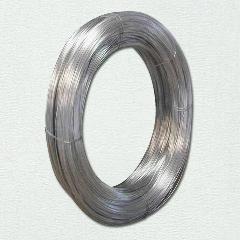 Galvanized Steel Cold Heading Hardware Stainless Steel Spring Wire with Mesh CE Certificate