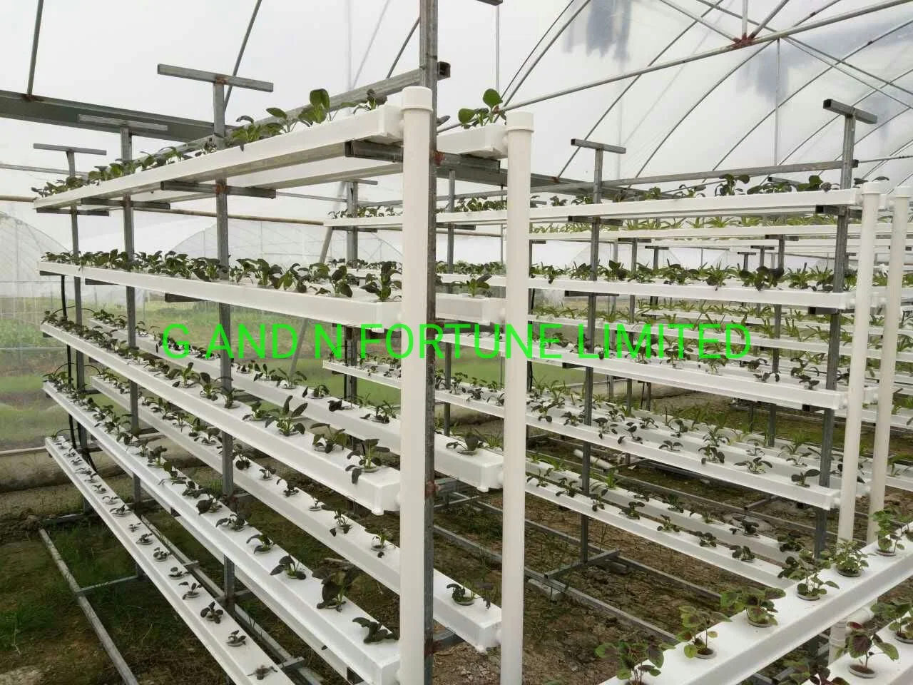 Jardim Aquaponics com efeito de sistemas de cultivo Canal Nft Sistema de hidroponia Vertical