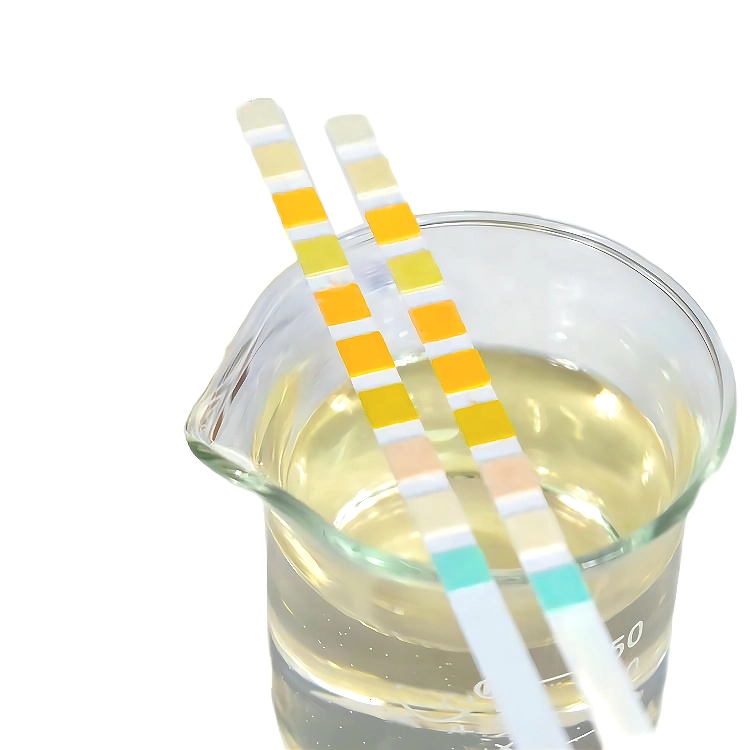 Medical Disposables Urine Test Strips for Rapid Hospital Urine Test with Different Parameters