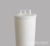 Hfu640GF060h Replacement High Flow Filter Cartridge for New Energy