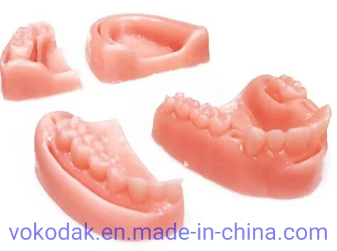 Zahnmodell Nahtmodell Zahnmodell Zahnnähtes Zahnmodell Zahnnähchen Praxis Pad (4 Module)
