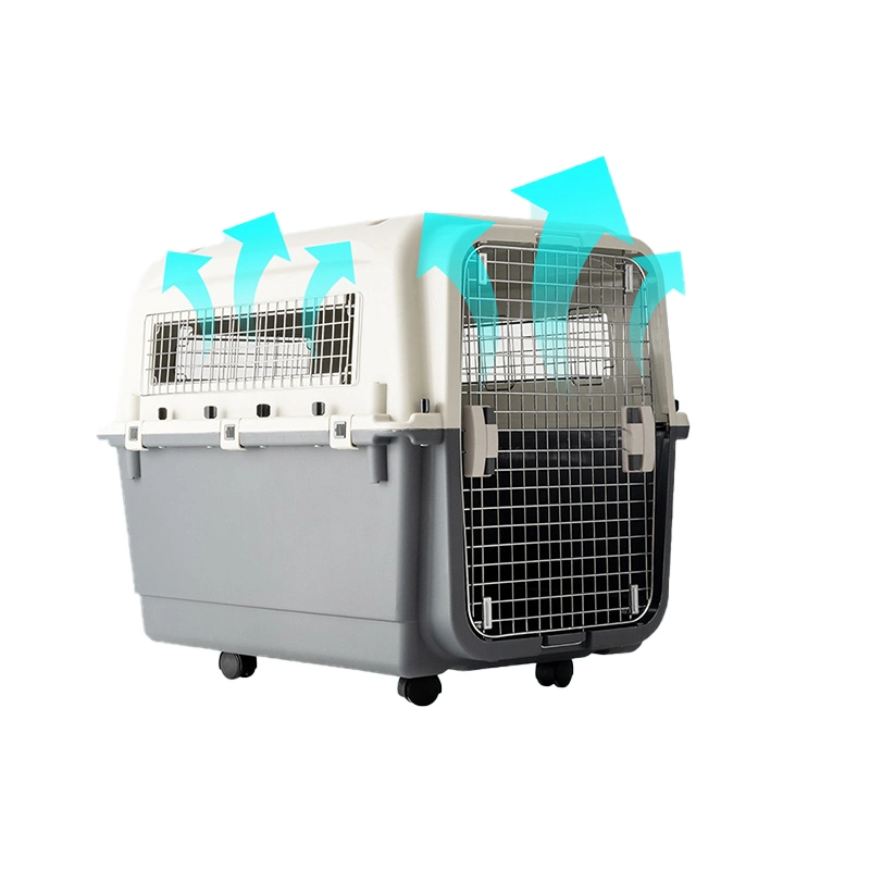 Iata-Zulassung Haustier Hund Carrier Flugreisen Tragbare Katze Transport Transportbox