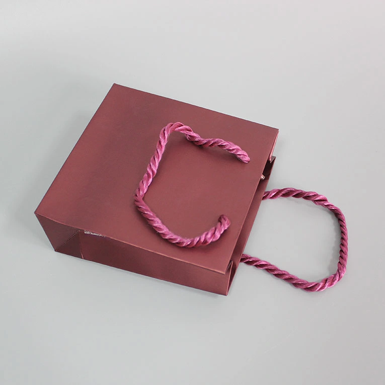 Individuelle Boutique-Taschen kleine Geschenkpapier Tasche für Schmuck mit Individuelle Logo Boutique Einkaufstaschen mit Seilgriff