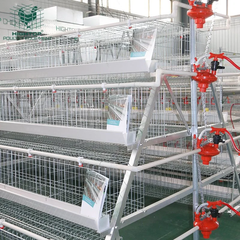 Hot Sale Prix de gros d'une ferme avicole de type Cage de la couche de poulet en Ouganda avec système d'eau automatique