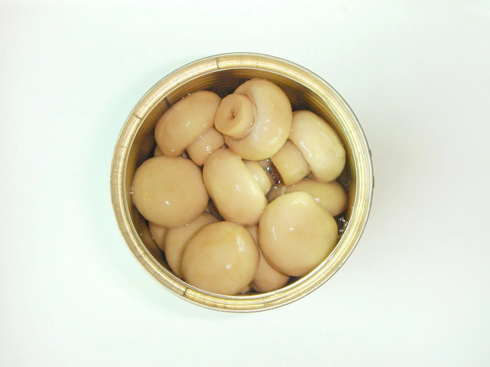 Healthy Canned Food Mushroom Whole for Supermarket/Wholesale/Supplier