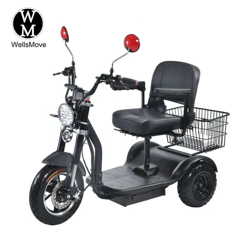 Wholesale Price 500W 3 Wheel Electric Mobility Tricycle Scooter