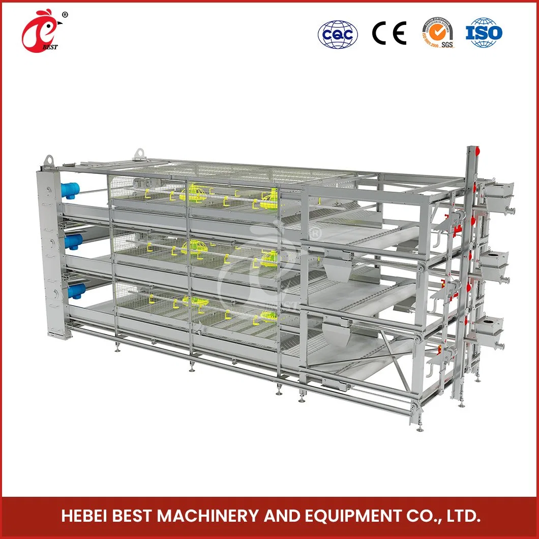 Bestchickencage H Frame Broiler Cages China Small Chicken Coop Manufacturing Light Steel Material Design Broiler Cages