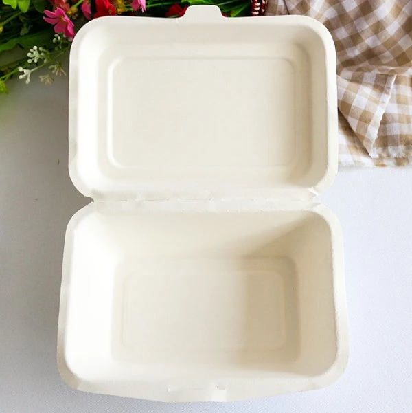 Disposable Biodegradable Sugarcane Bagasse Pulp Paper Food Packaging Container Box