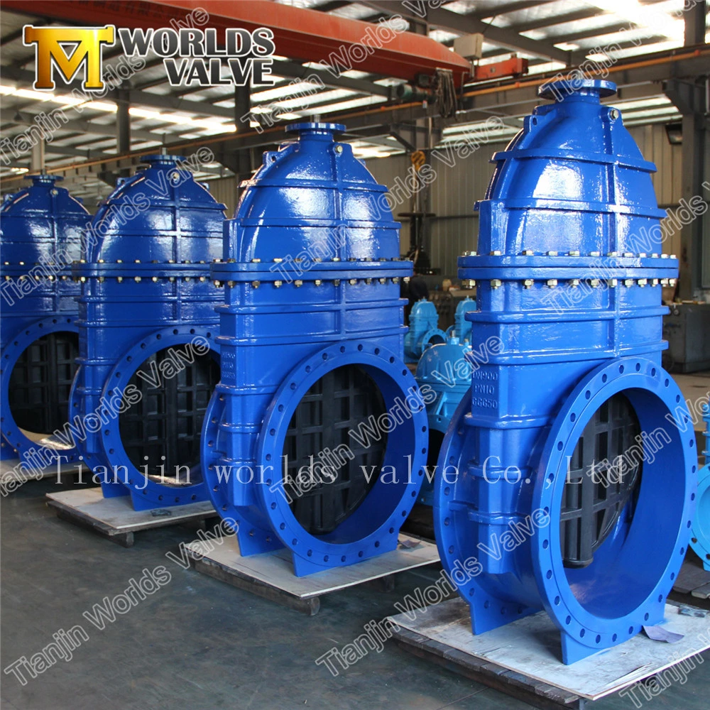 Ductile Iron Rubber Coated Gate Valve for Water Pipeline