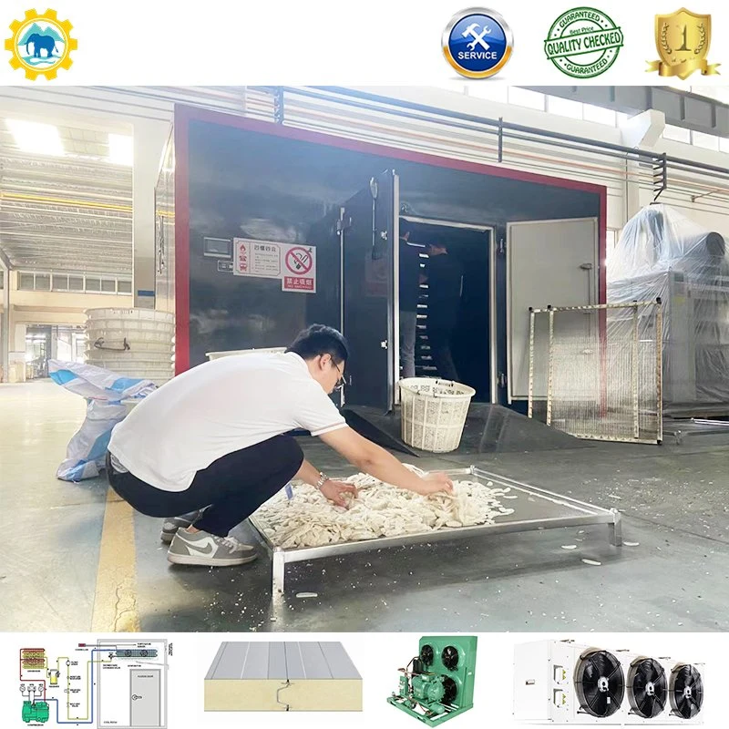 Heat Pump Nuts Drying Machine Energy-Saving Heat Pump Tray Dryer Melon Seeds/Vegetable/Fruits Drying Room Machine