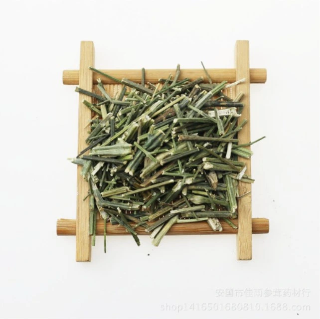 شوان شين ليان بيع بالجملة الساخنة عالية الجودة من الطبيعي طب الأعشاب أندروغرافيوس بانيكولاتا للصحة