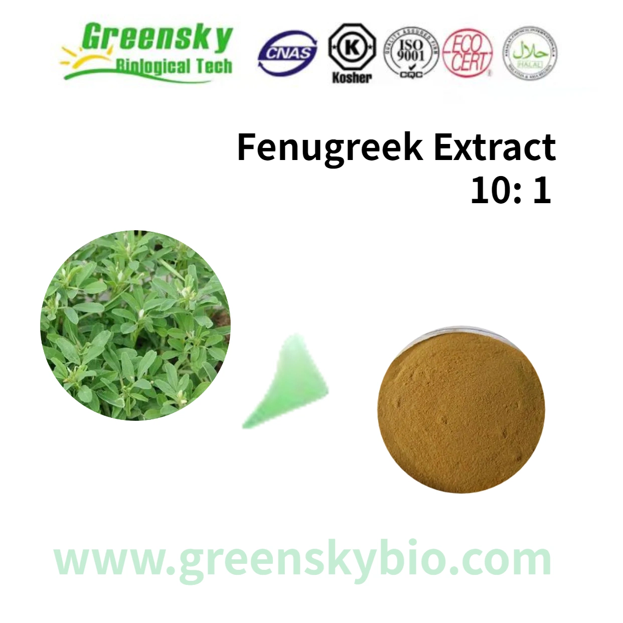 Fenugreek Extract 10: 1 Trigonella Foenumgraecum L. Brown Powder 100% Natural Pure Organic Seed High Quality Plant Extract Herbal Extract