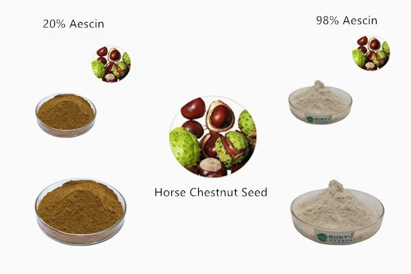 Factory Supply Best Price Natural Aesculus Chinensis Extract Powder Aescin 20% UV