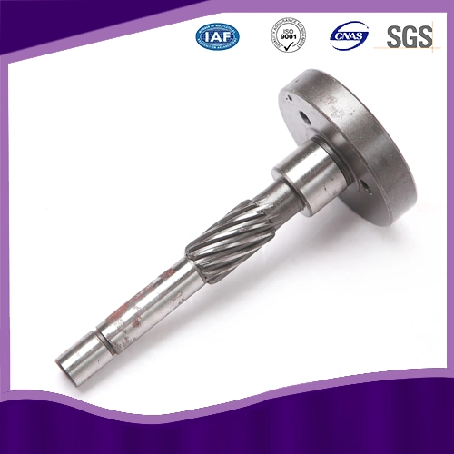 Stainless Steel Worm Gear Shaft with ISO 9001 Approved