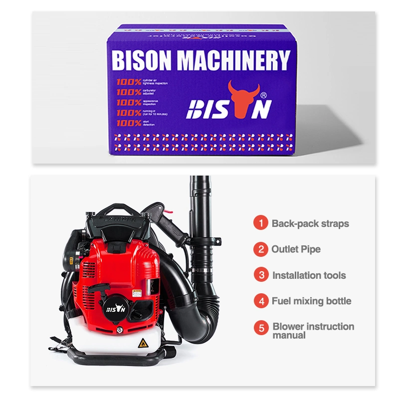 Bison 63cc Knapsack Gasoline Powered Backpack Leaf Blower, Petrol Snow Blower