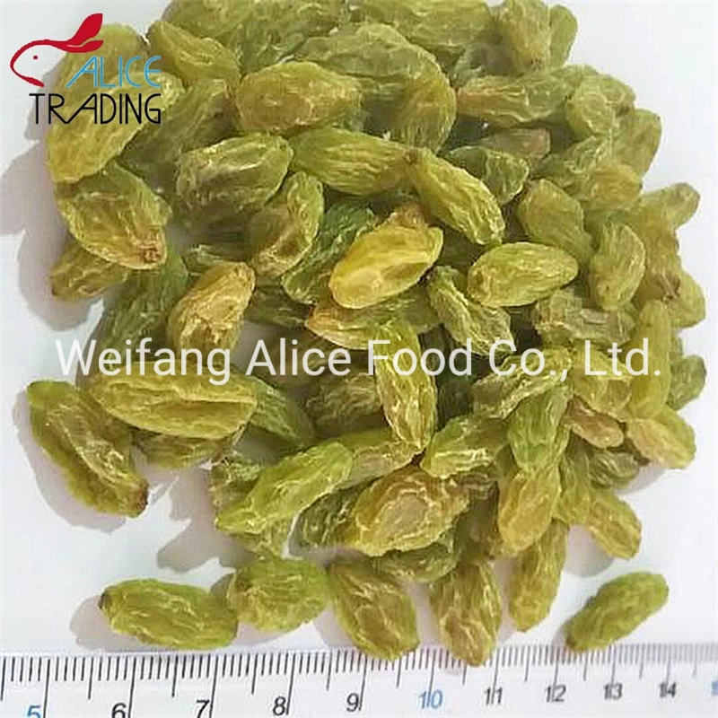 Health Snacks Chinese Factory Dried Green Raisins