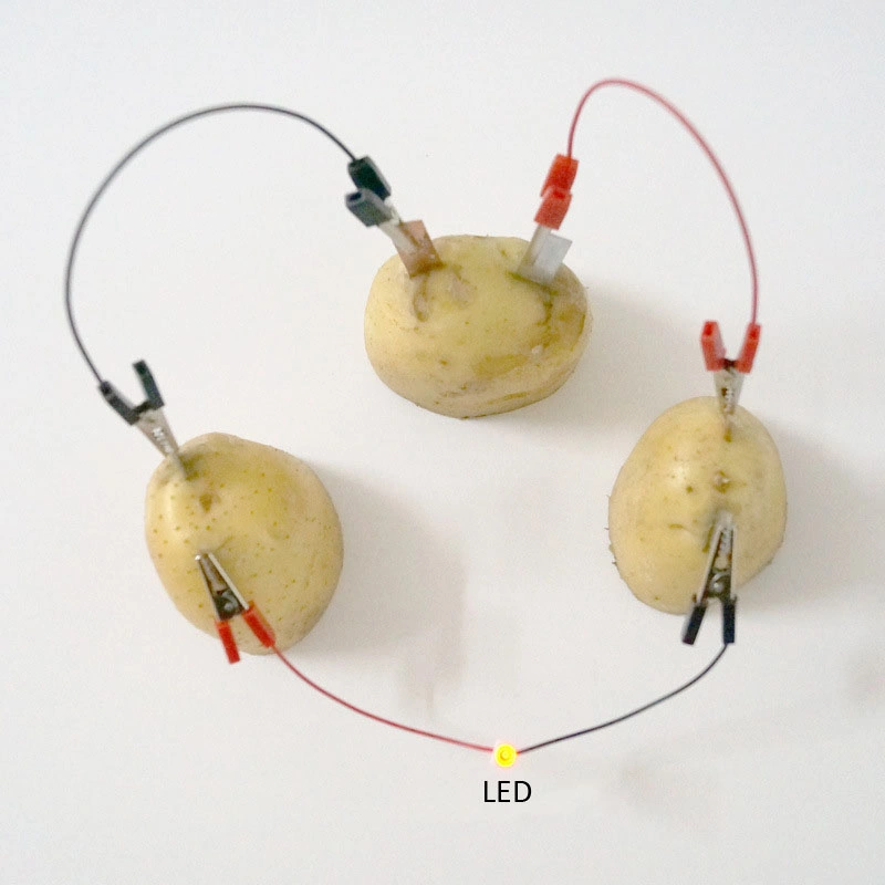 DIY Obst Powered Generation Kits Wissenschaft pädagogisches Spielzeug für Studenten Lernressourcen.