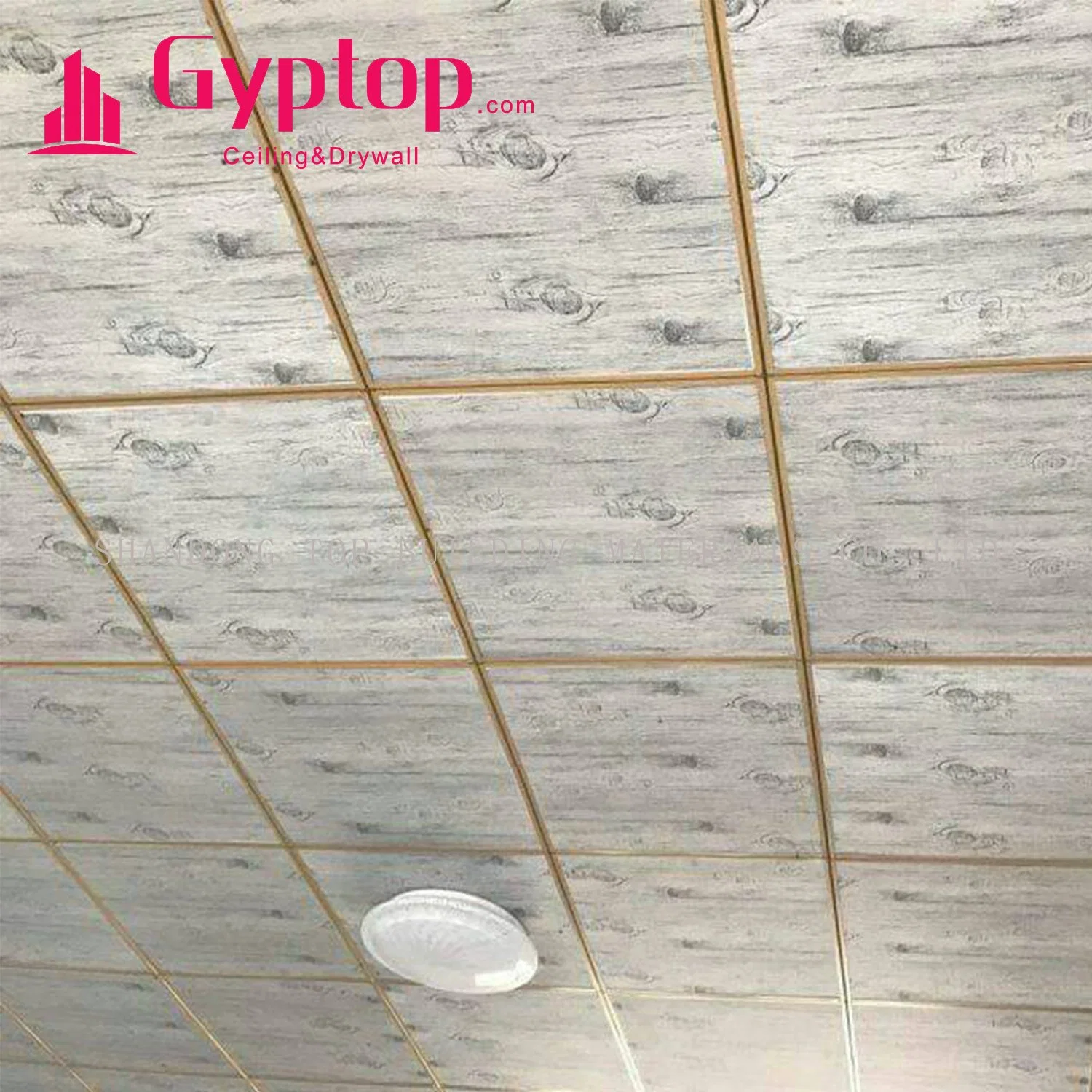 2020 Plasterboard Ceiling Board/ New Patterns 3D