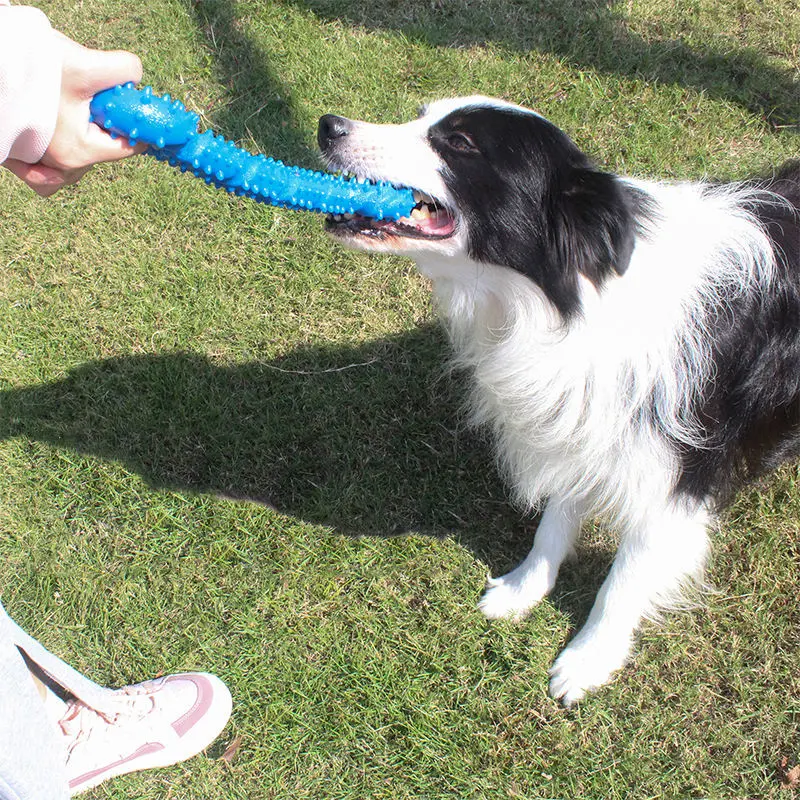 Brinquedo mastigatório para cão de Animais TPR