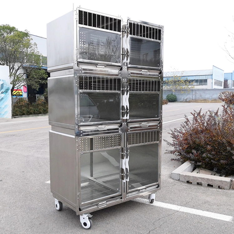 Cage PET Hospital acier inoxydable système modulaire professionnel pour chiens Kennels Maison de crate pour chats de chiens