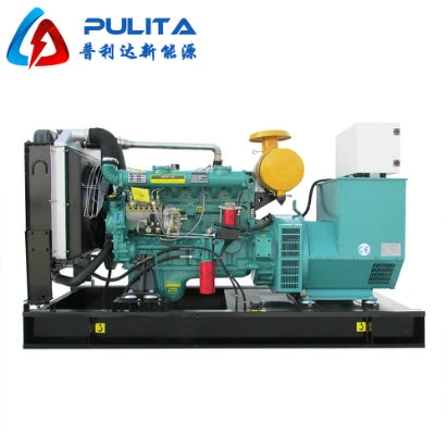 Best Purchase Chinese Electric Backup Generator